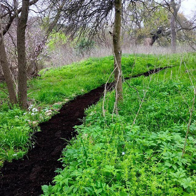 Pease Park Conservancy