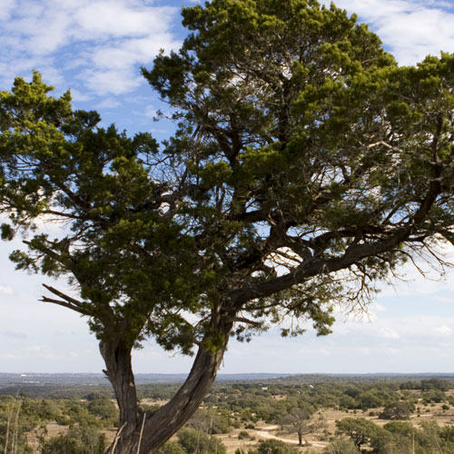 Hill Country Conservancy